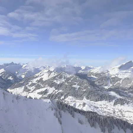 Apartamento Boedmerhof Mittelberg