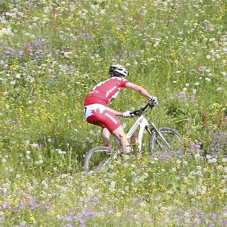 Boedmerhof מיטלברג
