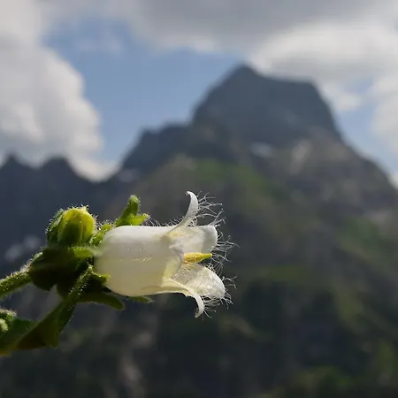 Boedmerhof Mittelberg