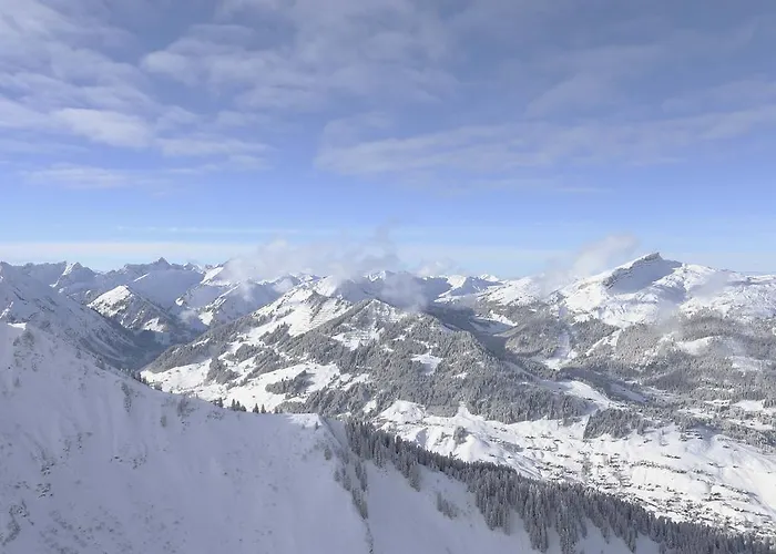 Apartment Boedmerhof Mittelberg