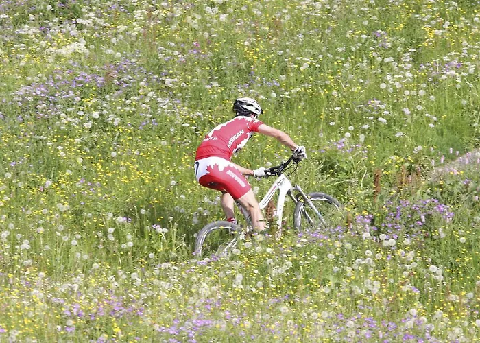 Boedmerhof Mittelberg