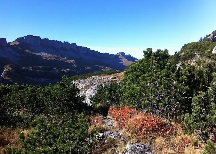 Apartment Boedmerhof *
